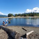 Pine Point Picnic