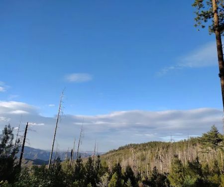 Old Mill Campground