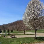 Cross Creek RV Park