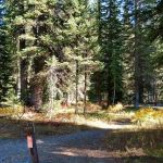 Upper Ford 9B8