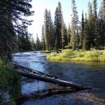 Upper Falls River 9F2