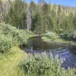 Moose Creek
