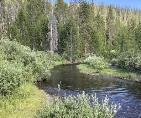 Moose Creek