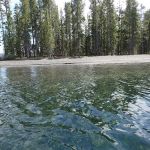 North Grizzly Beach 8S4