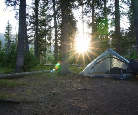 Rustic 8H6