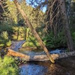 Trail Creek Campground