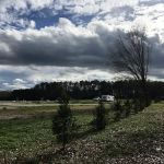 Oak Park Resort