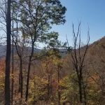 SouthPaw RV Sites