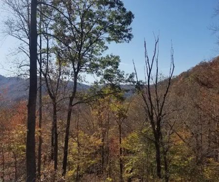 SouthPaw RV Sites