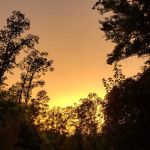 Black Oak Mobile Home-RV Park