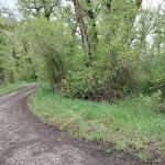 Tin Cup Campground