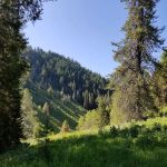 Pine Bar Campground