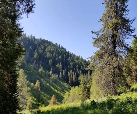 Pine Bar Campground