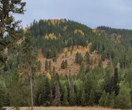 Moose Flat Campground