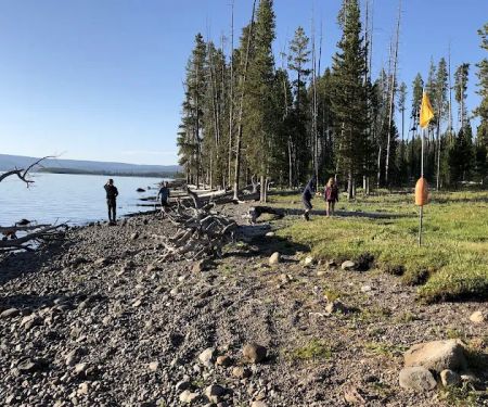South Arm