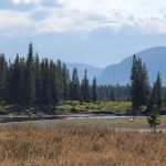 Yellowstone Meadows 6Y7