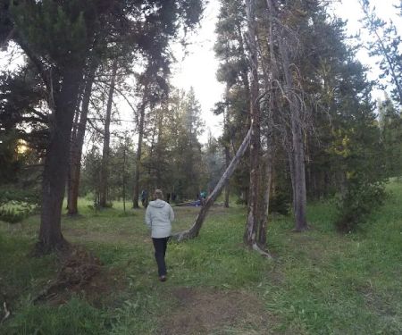 Beaverdam Meadow