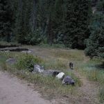 Eightmile Campground