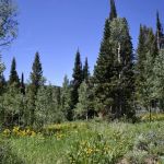 Emigration Campground