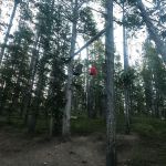 Moss Creek