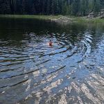 Wapiti Lake