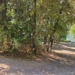 Maple Grove Campground