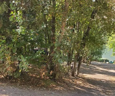 Maple Grove Campground