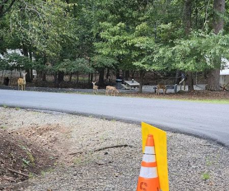 Shady Grove RV Park