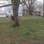 Spring Place MHP