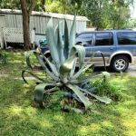McGregor Downs Mobile Home Pk
