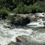 Sawmill Campground