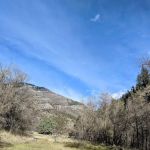 Dewitt Picnic Area
