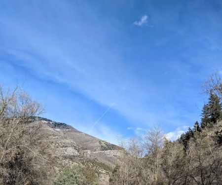Dewitt Picnic Area