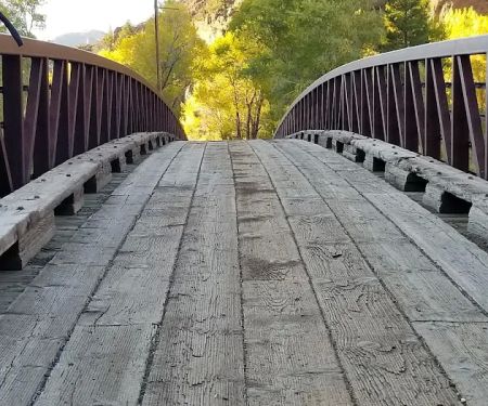 Wapiti Campground