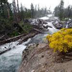 Crazy Creek Campground