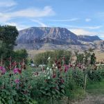Homestead Campground