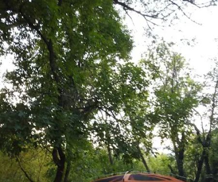 Pioneer Campground