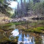 Sheridan Campground