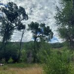 Willows Campground