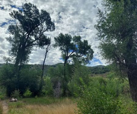 Willows Campground