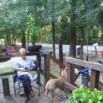 Hagee's RV Park