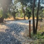 Prevedel Park Campsite #2