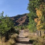 Maples Campground