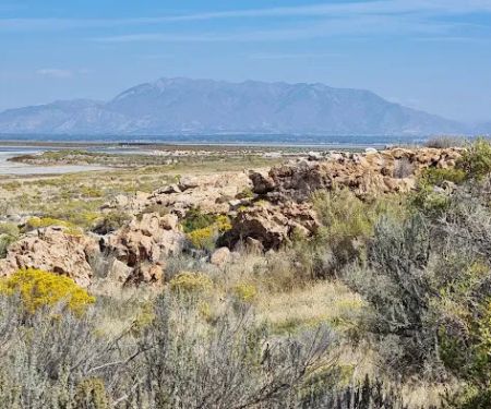 Ladyfinger Campground