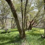 Camp Zarahemla