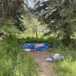 Spruces Campground