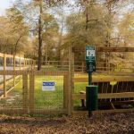 Dogwood RV Park