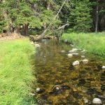 Shell Creek Campground