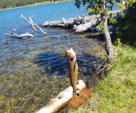 Medicine Lodge Lake Campground