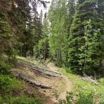 Cottonwood Campground